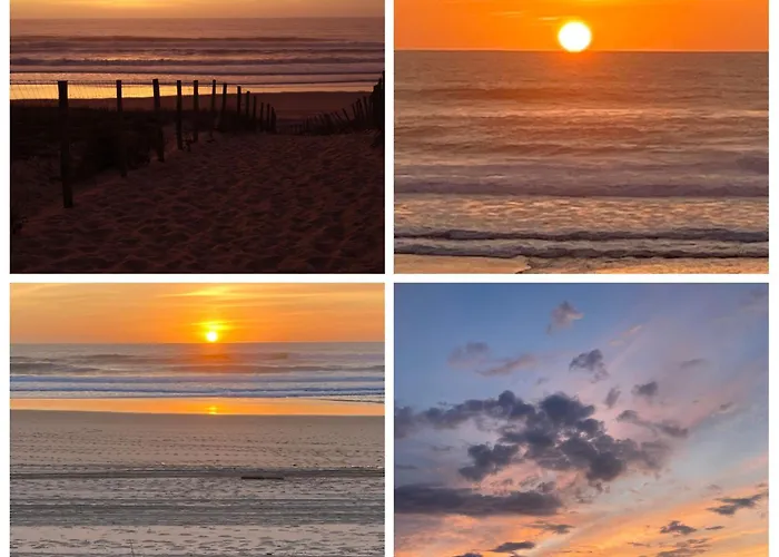 Terrasse Vegetale Bord Plages Bassin Lägenhet